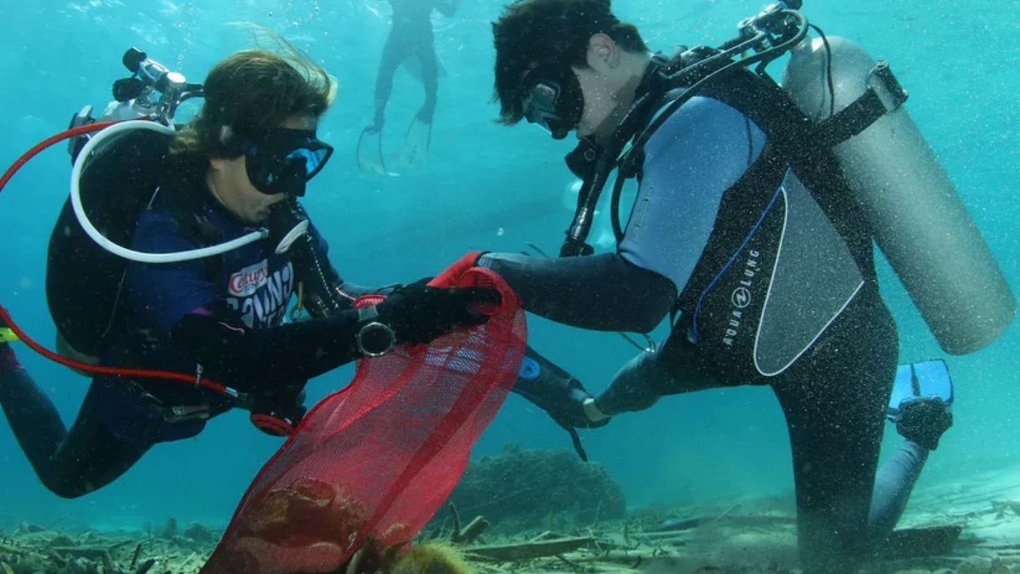 Ocean/Coastal Community Collection and Co-processing of Mixed Plastics in Manila, Philippines (PPRS)