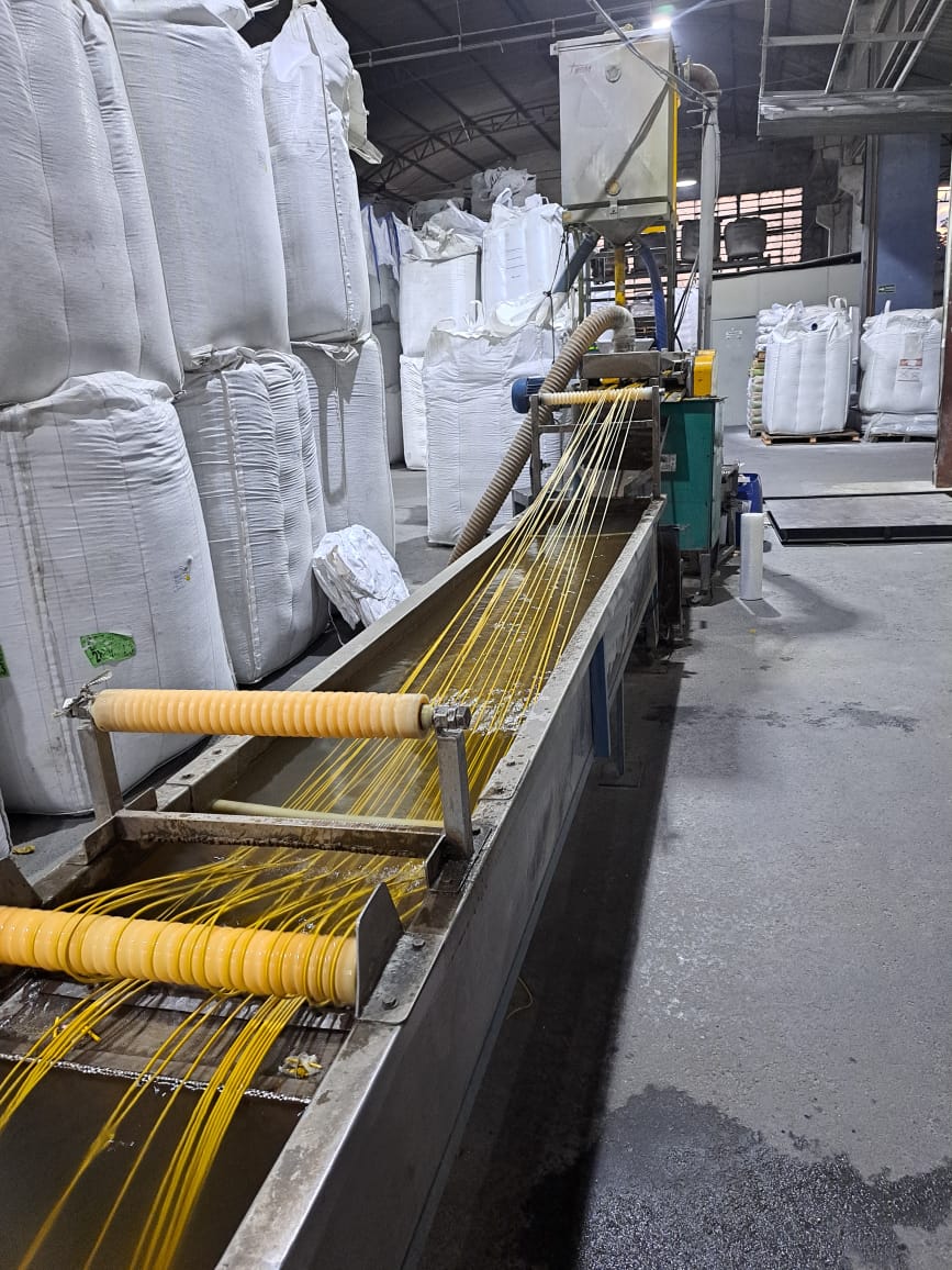 Recycling of PP, PS, LDPE and PVC plastics in Guarulhos - SP, Brazil (PWRS)