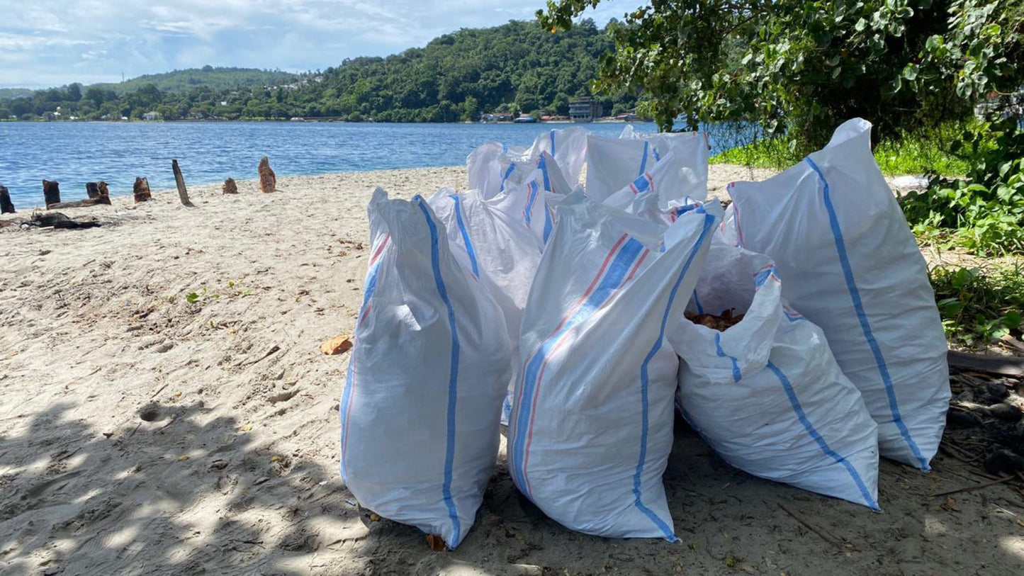 Ocean-Bound Community Collection and Recycling of Mixed Plastics in Ambon, Indonesia (PPRS)