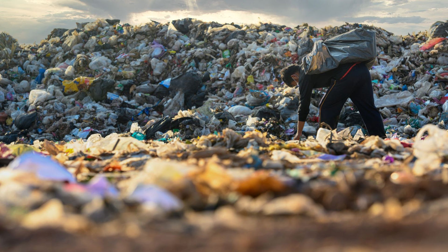 Community Collection and Co-processing of Mixed Plastics in New Delhi, India (PPRS)