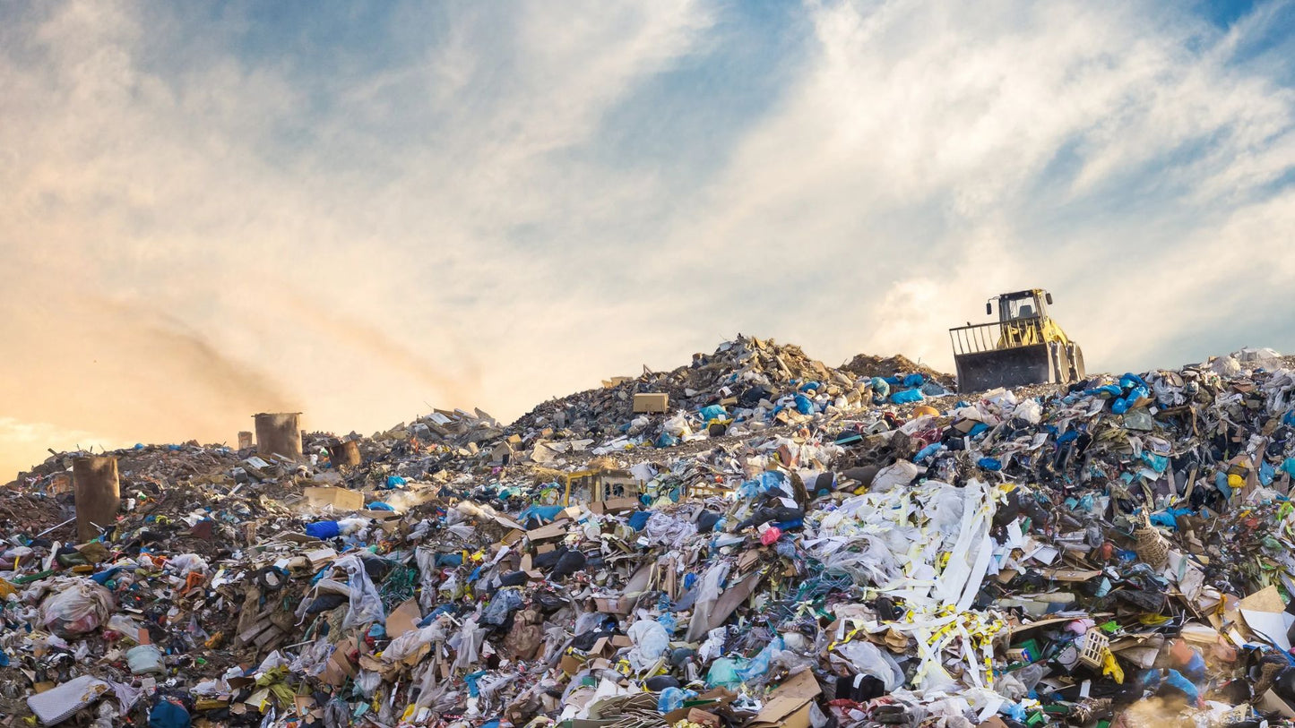 Community Collection and Co-processing of Mixed Plastics in New Delhi, India (PPRS)
