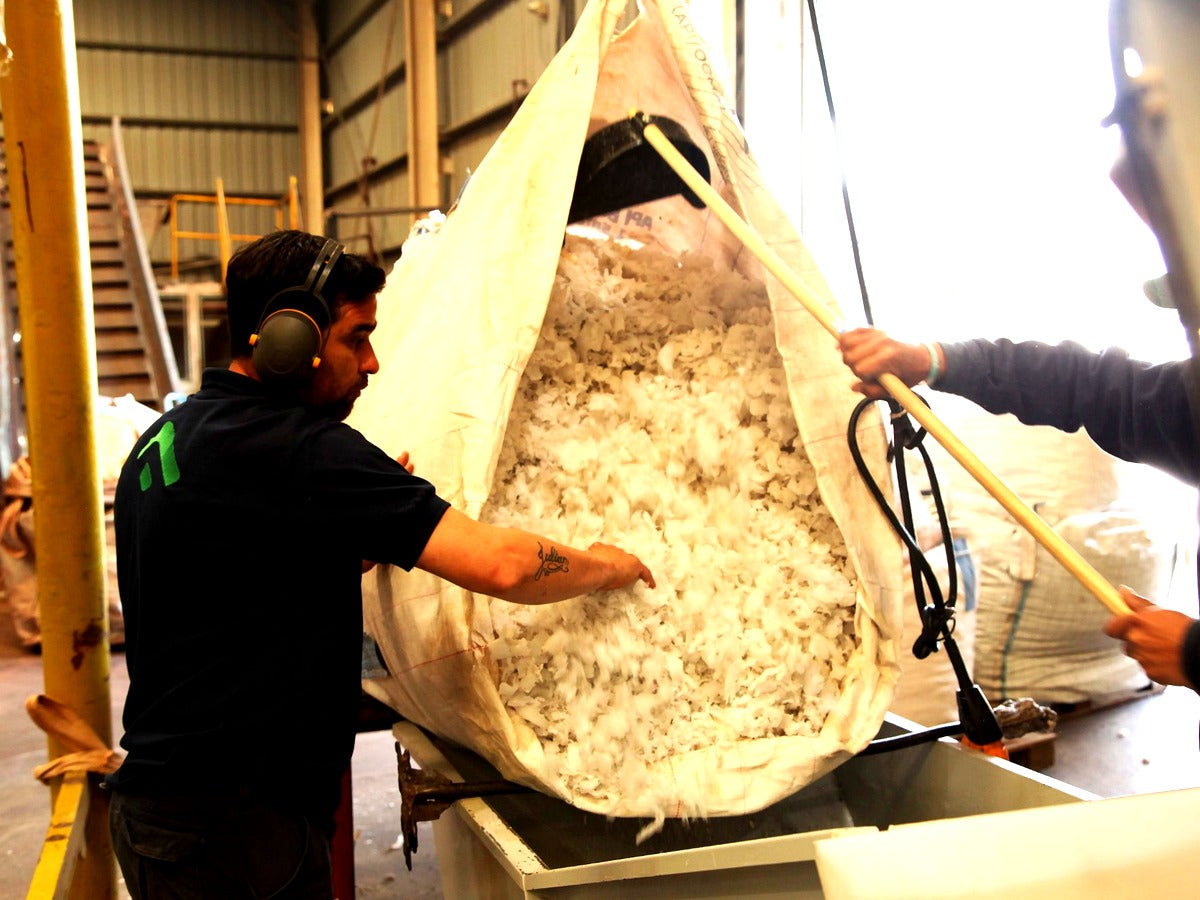 Community Collection and Recycling of HDPE and PP in Buenos Aires, Argentina (PPRS)