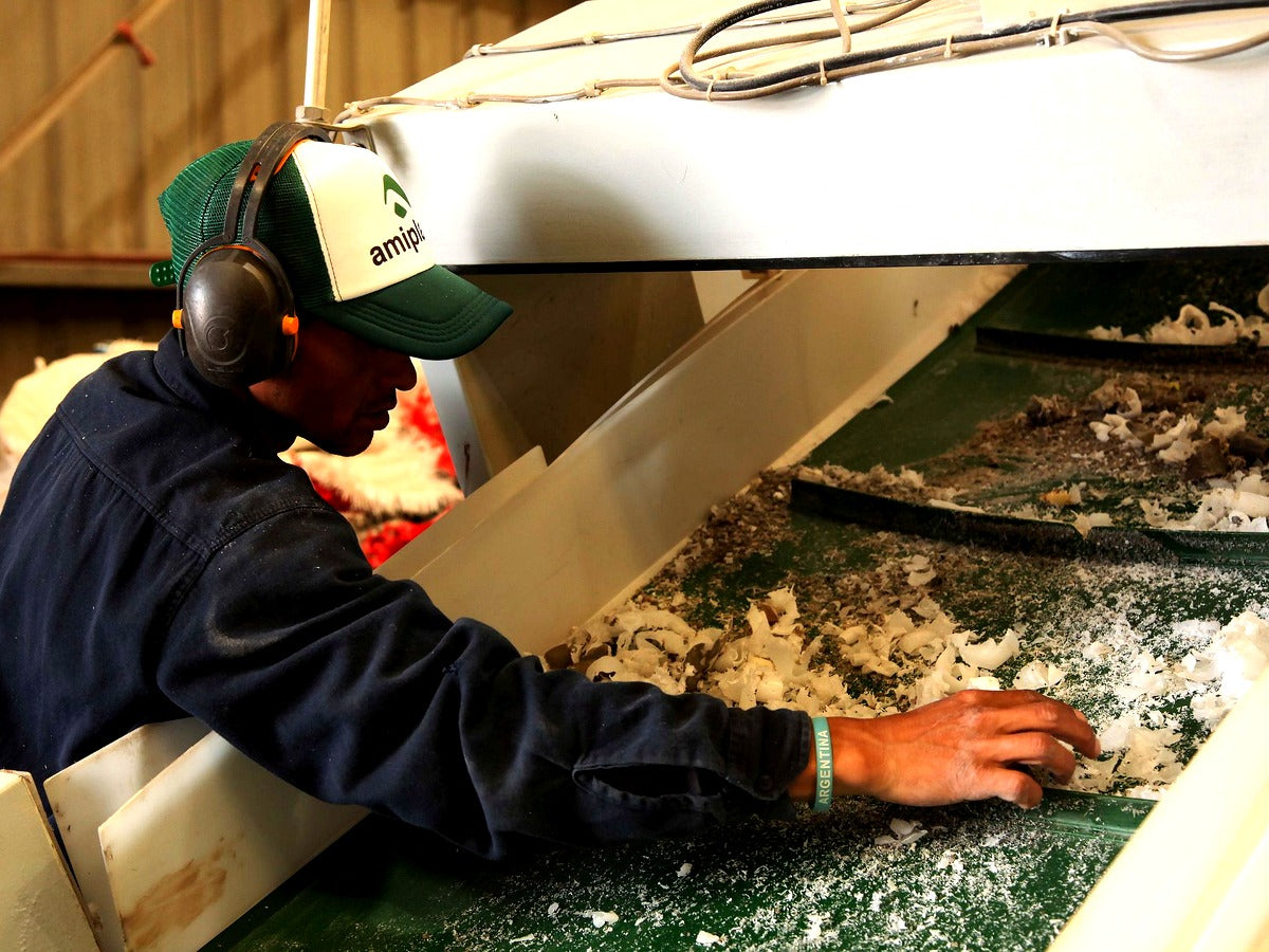 Community Collection and Recycling of HDPE and PP in Buenos Aires, Argentina (PPRS)